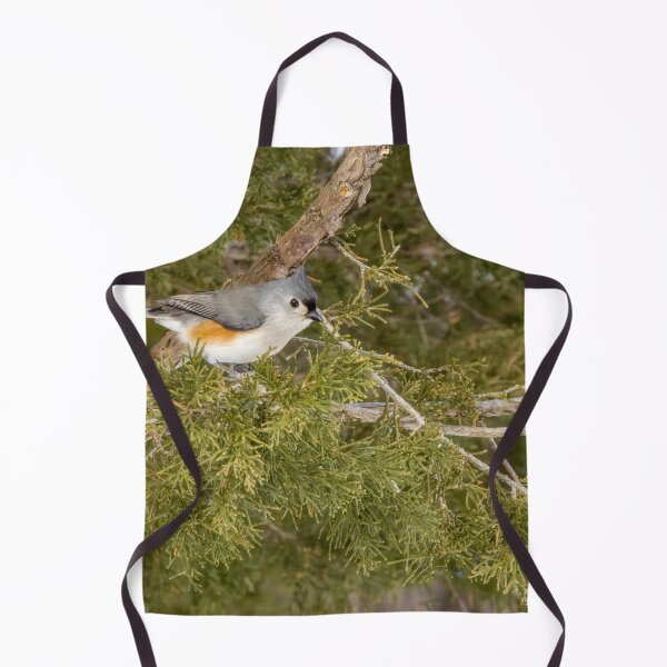 Item preview, Tufted Titmouse in Pinery Provincial Park, Ontario designed and sold by jrtwynam.