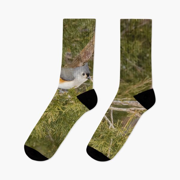 Item preview, Tufted Titmouse in Pinery Provincial Park, Ontario designed and sold by jrtwynam.