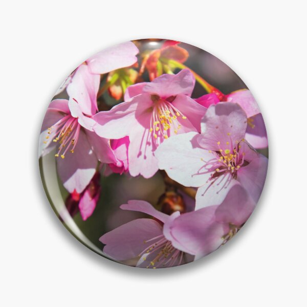 Item preview, Blossom designed and sold by JEZ22.