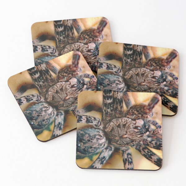 Item preview, Fishing Spider, Genus Dolomedes, Large Arachnid designed and sold by AMacGPhilly.