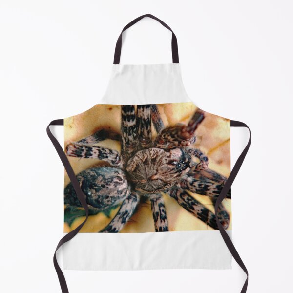 Item preview, Fishing Spider, Genus Dolomedes, Large Arachnid designed and sold by AMacGPhilly.