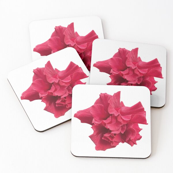 Item preview, red hibiscus flower, red flower Isolated on white background designed and sold by pipikijung.