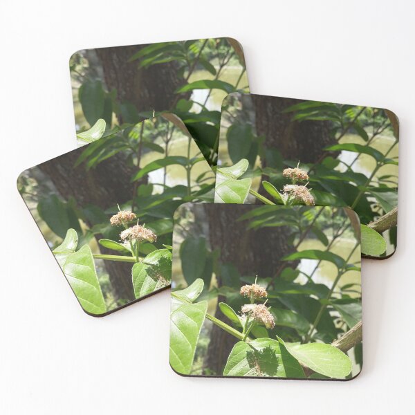 Item preview, Tropical Guava Tree Blossoms and Green Leaves designed and sold by BloomandBlurArt.