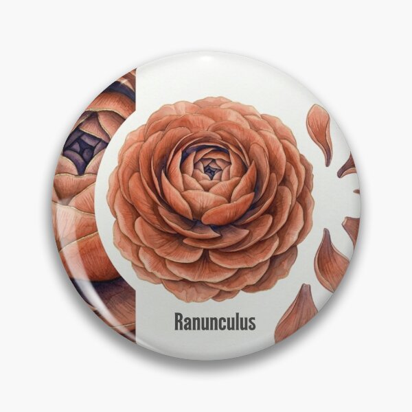 Item preview, Ranunculus Flower Illustration designed and sold by StudioNigredo.