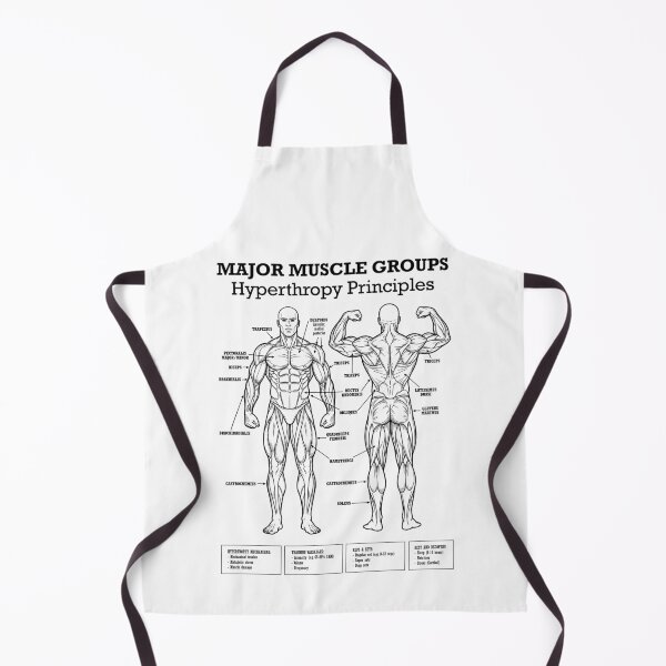 Item preview, Funny Gym Muscle Groups Hypertrophy Lifting Workout Diagram designed and sold by GrandeDuc.