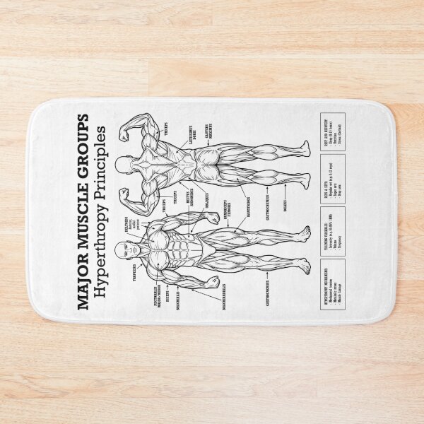 Item preview, Funny Gym Muscle Groups Hypertrophy Lifting Workout Diagram designed and sold by GrandeDuc.
