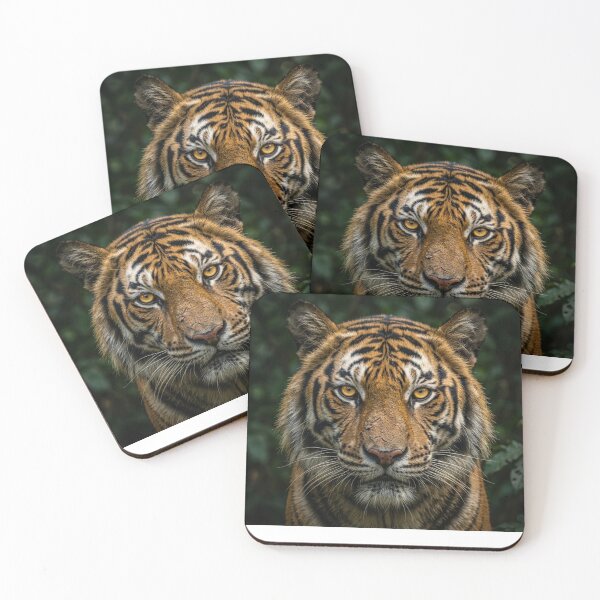 Item preview, Majestic Tiger Portrait  designed and sold by Pulp-Peel.