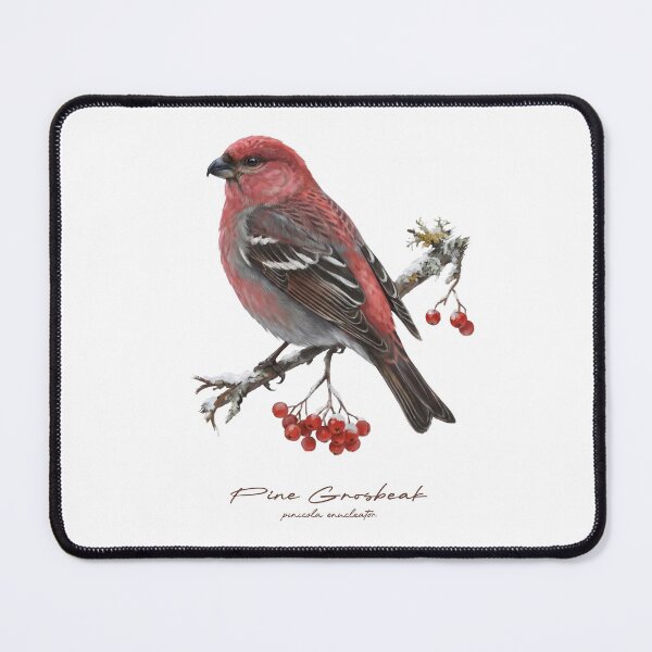 Item preview, Pine Grosbeak on Branch with Berry  designed and sold by Takeda-art.