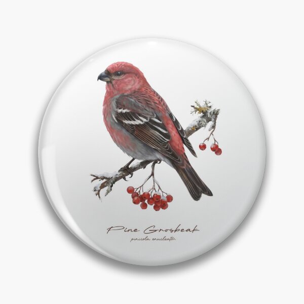 Item preview, Pine Grosbeak on Branch with Berry  designed and sold by Takeda-art.