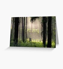 Enchanted Forest (Flathead National Forest, Montana, USA) Greeting Card