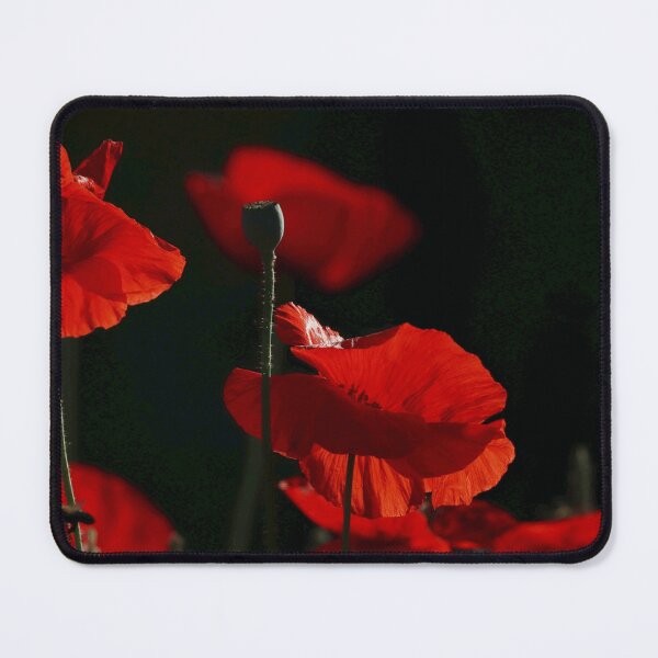Item preview, Memorial day designed and sold by JI-PIXEL-PLACE.
