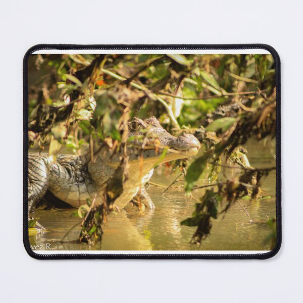 Item preview, Eyes of the River. designed and sold by NelsonChavezR.