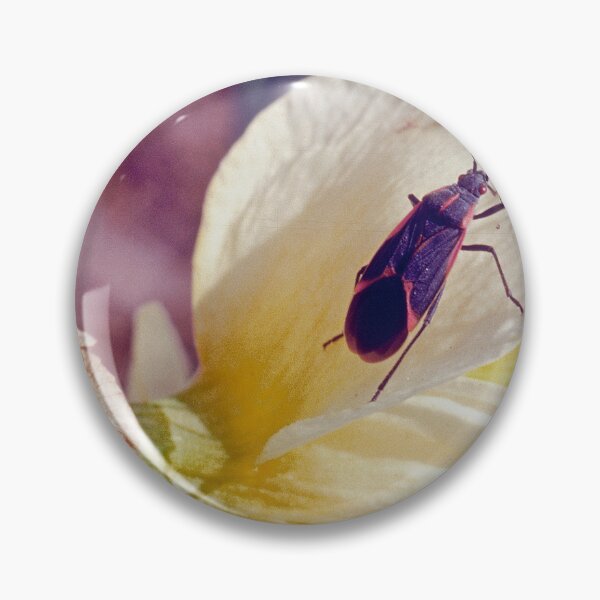 Item preview, Boxelder Beetle, Leptocorts Trivittatus, Iris Flower designed and sold by AMacGPhilly.
