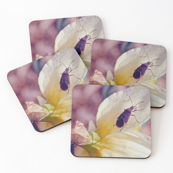 Item preview, Boxelder Beetle, Leptocorts Trivittatus, Iris Flower designed and sold by AMacGPhilly.