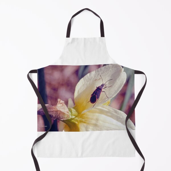 Item preview, Boxelder Beetle, Leptocorts Trivittatus, Iris Flower designed and sold by AMacGPhilly.