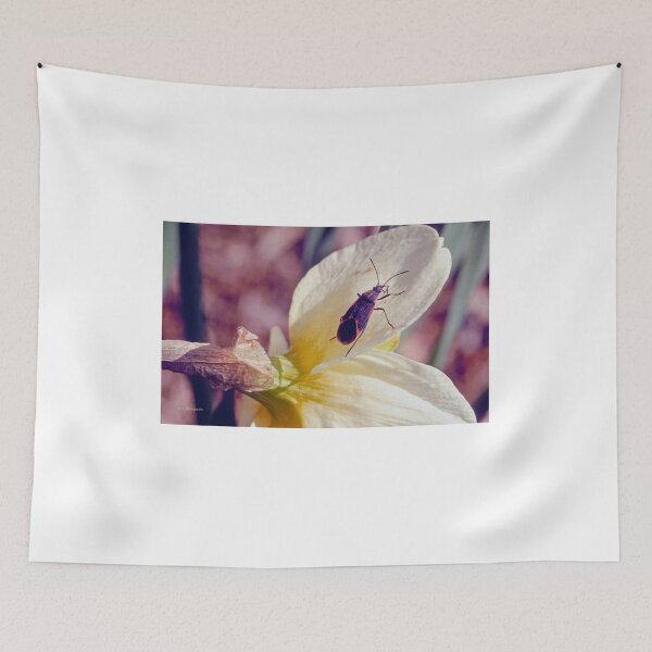 Item preview, Boxelder Beetle, Leptocorts Trivittatus, Iris Flower designed and sold by AMacGPhilly.