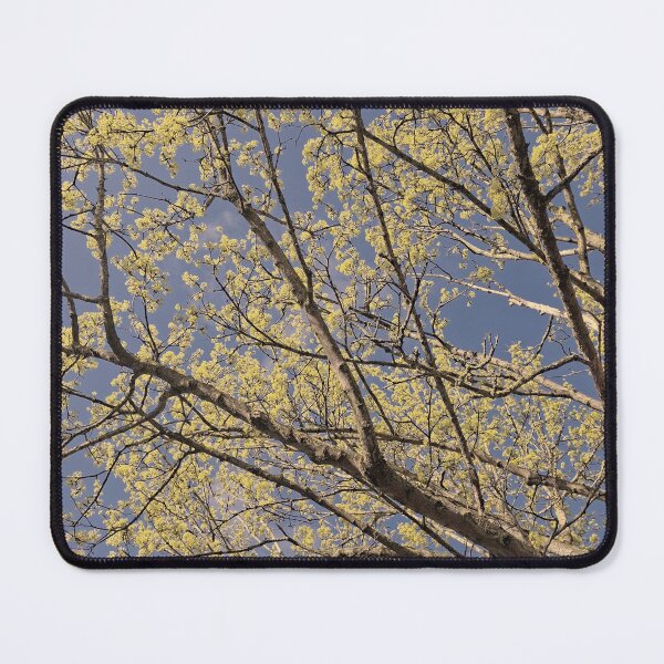 Item preview, Spring is in the air designed and sold by majabojarska.