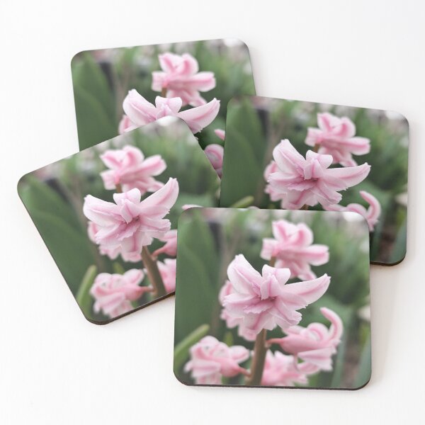Item preview, Beautiful Pink Flower From The Home Garden Digital Photography designed and sold by vtspatial.
