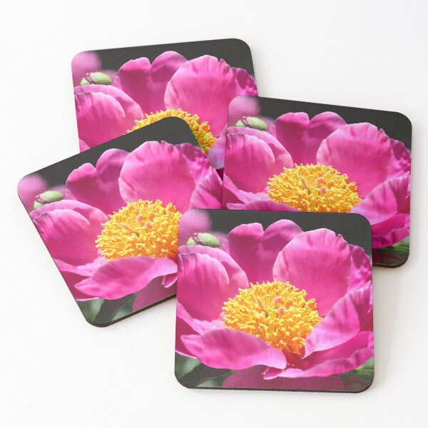 Item preview, Fushia Hot Pink Chinese Peony - 1 designed and sold by BostonArcImage.