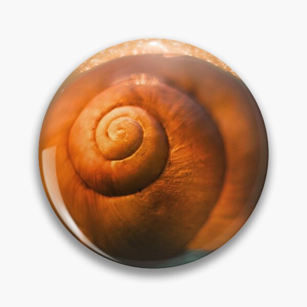 Item preview, Golden Spiral: Sunset Shell designed and sold by SoulArchitect.