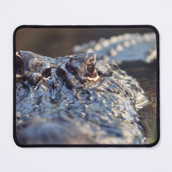 Item preview, Stealthy Alligator - Beautiful Nature Photography designed and sold by snapshotszach.