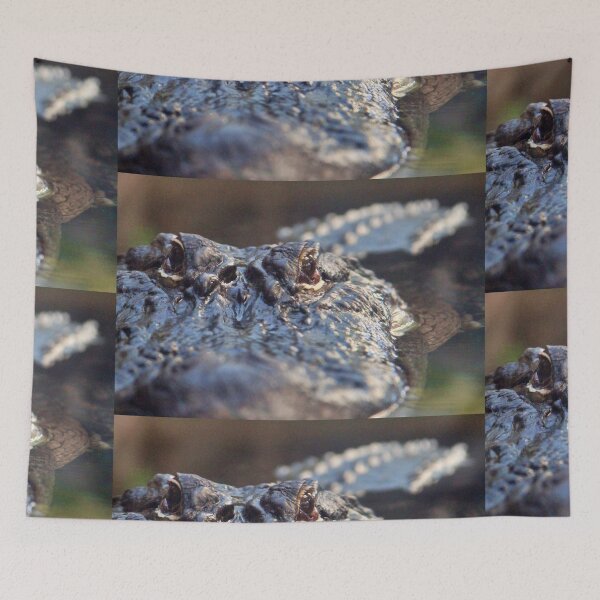 Item preview, Stealthy Alligator - Beautiful Nature Photography designed and sold by snapshotszach.