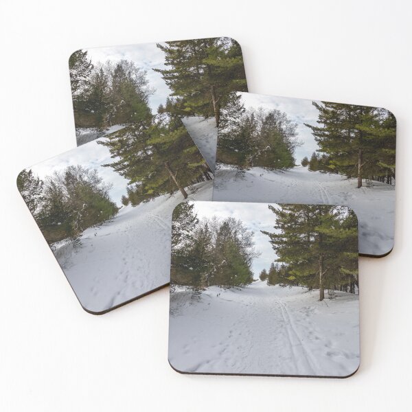 Item preview, Snowy Pathway at Pinery Provincial Park, Ontario designed and sold by jrtwynam.