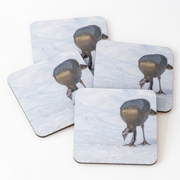 Item preview, Wild Turkey Feeding in Snow at Pinery Provincial Park, Ontario designed and sold by jrtwynam.