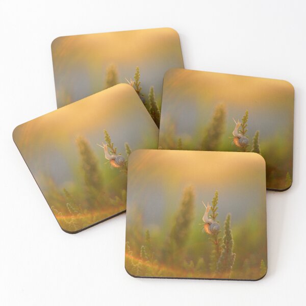 Item preview, The Golden Journey - Minimalist Snail Macro designed and sold by SoulArchitect.