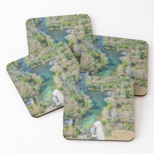 Item preview, Blue Springs Rec Area of Ecofina Creek designed and sold by poeticnautilus.