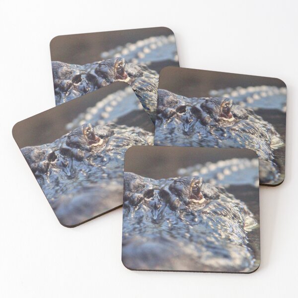 Item preview, Stealthy Alligator - Beautiful Nature Photography designed and sold by snapshotszach.