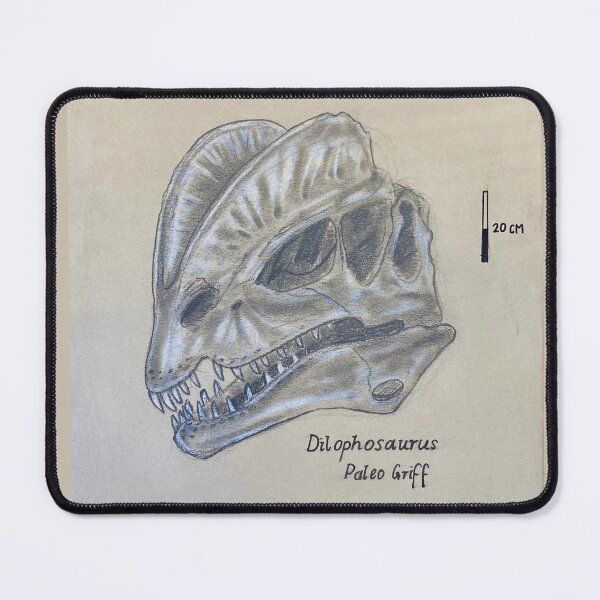 Item preview, Dilophosaurus - Hand Drawn scientific illustration designed and sold by Paleo Griff.