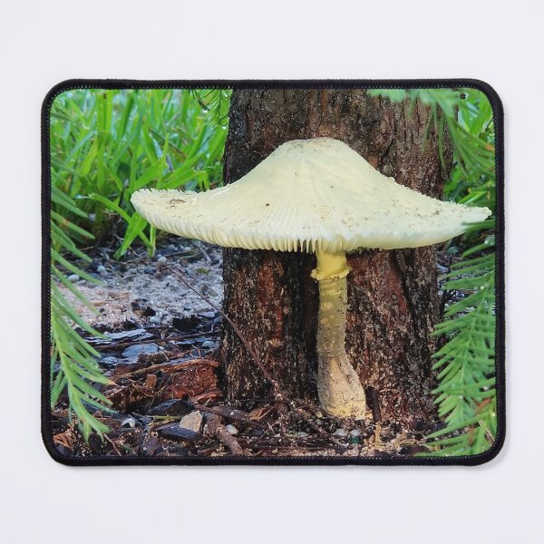 Item preview, Forest Sentinel  designed and sold by MyTimeDesign.