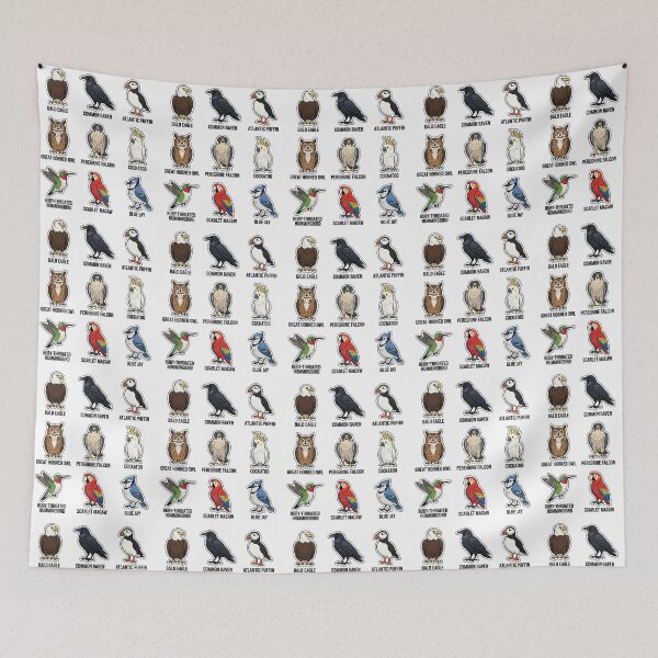 Item preview, Nine Types of Bird Species designed and sold by Rhu Creations.