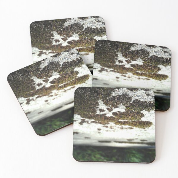 Item preview, Moss Living On The Edge designed and sold by snapshotszach.