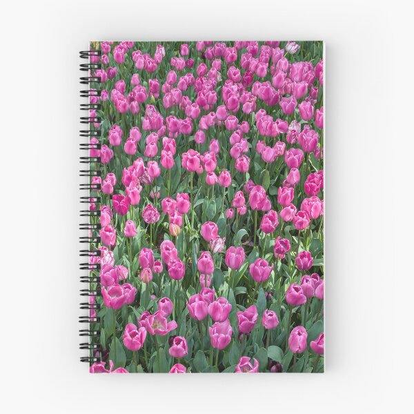 Aperçu de l'œuvre Champ de tulipes roses – Douces fleurs printanières créée et vendue par Be Captured by Brittany Emma.