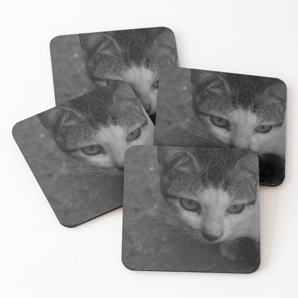 Item preview, B&W -  Kitty designed and sold by ROSE ANN BANILAR.
