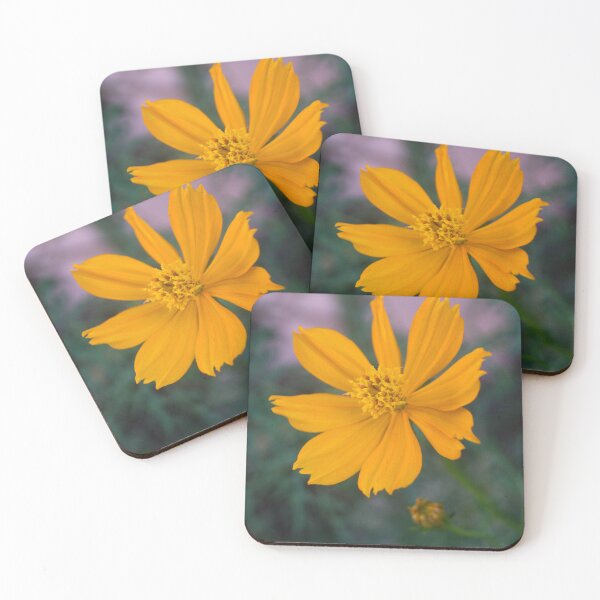 Item preview, Sulfur cosmos designed and sold by ROSE ANN BANILAR.