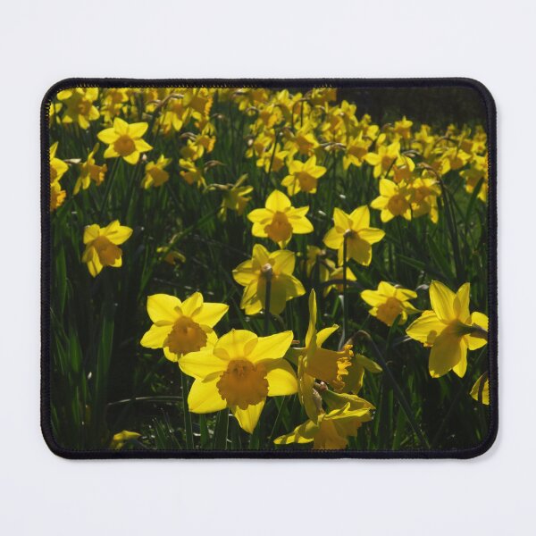 Item preview, A Bank of Daffodils designed and sold by wiggyofipswich.