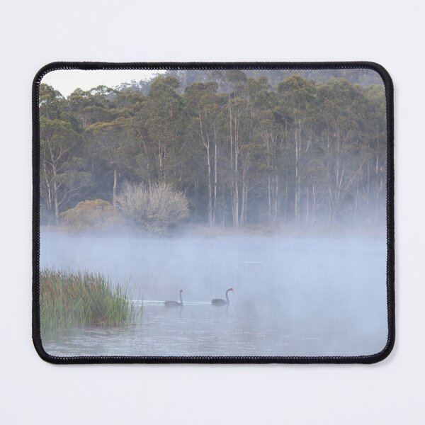 Item preview, Swan appear from the mist during the ealier morning designed and sold by Melville.Collective.