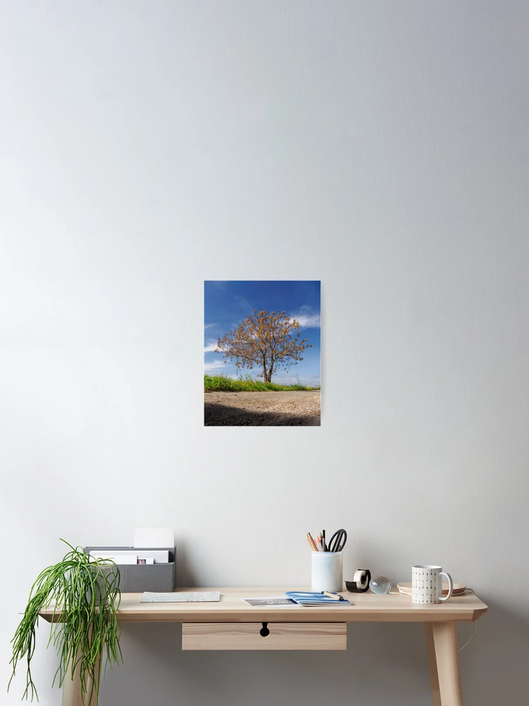 Thumbnail 2 of 3, Poster, Chinaberry Tree designed and sold by Ralph Goldsmith.