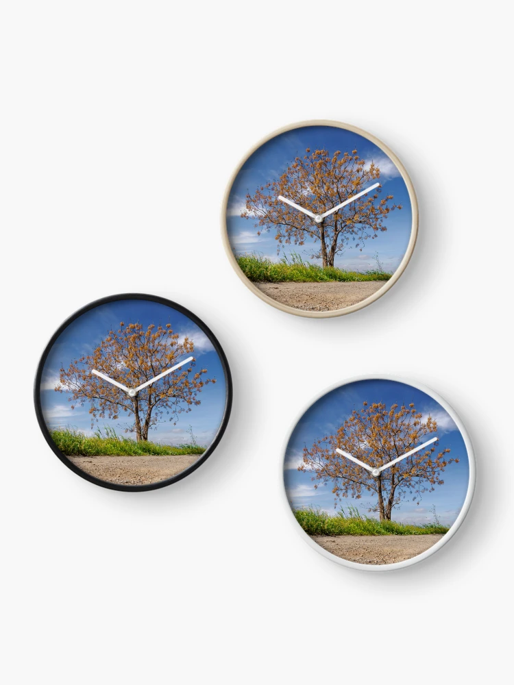 Thumbnail 3 of 4, Clock, Chinaberry Tree designed and sold by Ralph Goldsmith.