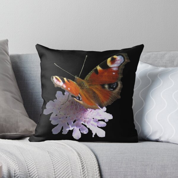 zauberhafter Schmetterling, Pfauenauge, Blume, Blüte, Sommer, Sonne Dekokissen