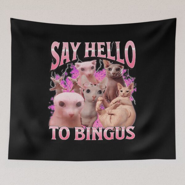 Item preview, Say Hello To Bingus Funny Hairless Cat Meme designed and sold by tadmercado.