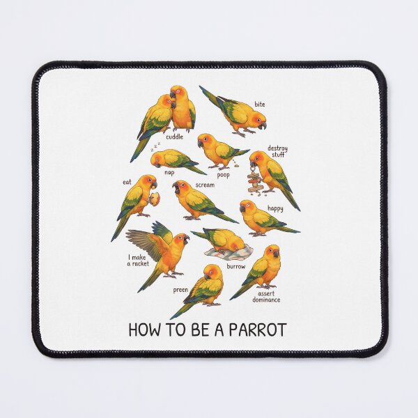 Item preview, How to be a Parrot Sun Conure Parrot Mom Dad Lover designed and sold by TerryConnells.