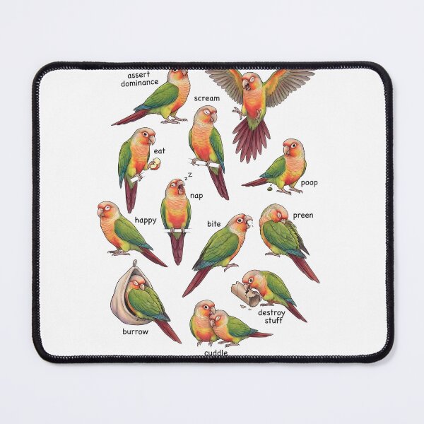 Item preview, How to be a Parrot Pineapple Green Cheeked Conure Parrot Mom Dad Lover designed and sold by TerryConnells.