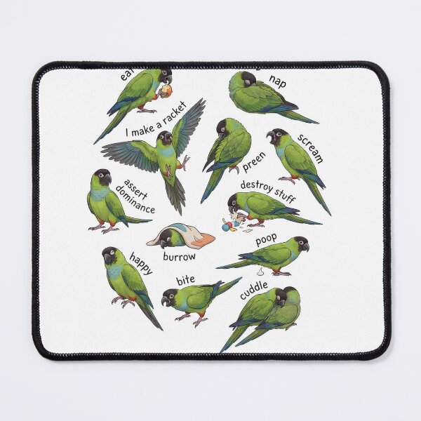 Item preview, How to be a Parrot Nanday Conure Parrot Mom Dad Lover designed and sold by TerryConnells.