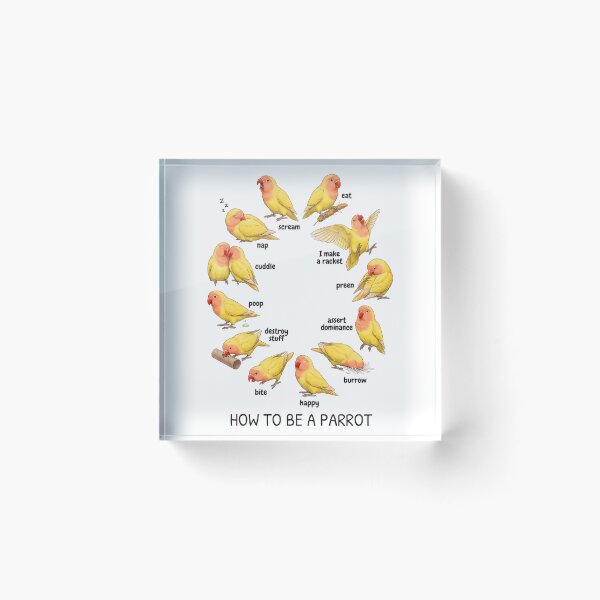 Item preview, How to be a Parrot Lutino Lovebird Parrot Mom Dad Lover designed and sold by TerryConnells.