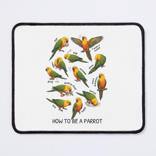 Item preview, How to be a Parrot Jenday Conure Parrot Mom Dad Lover designed and sold by TerryConnells.