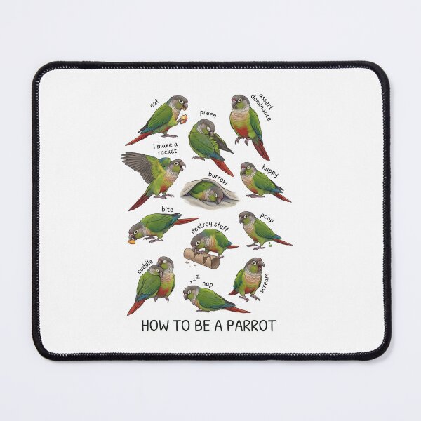 Item preview, How to be a Parrot Green Cheek Conure Parrot Mom Dad Lover designed and sold by TerryConnells.